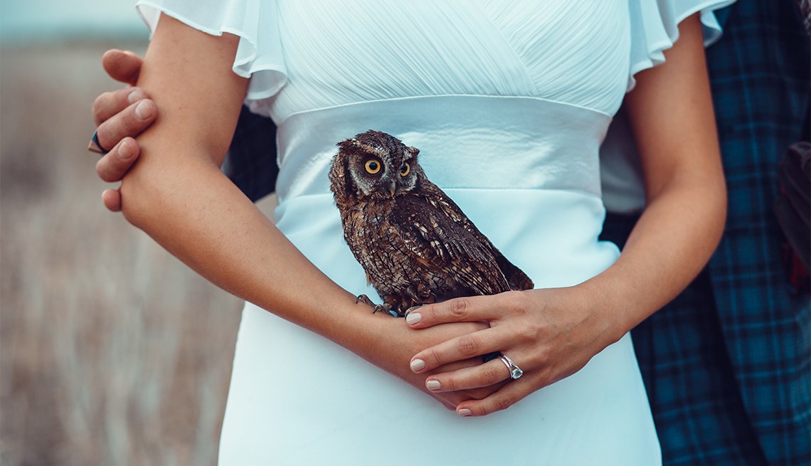 Fotoshooting mit Eulen